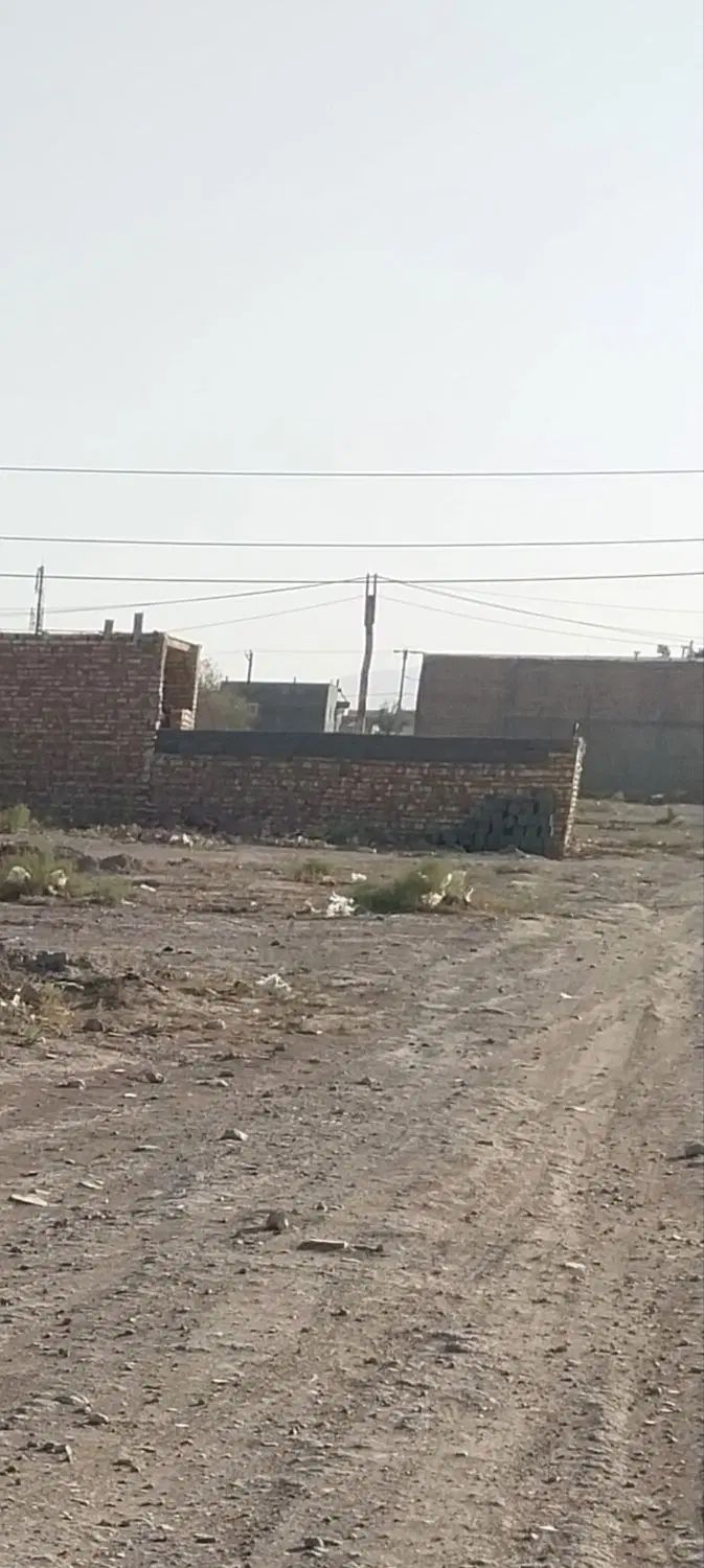 ۱۶۳ متر با دهنه ۸متر امتیازات جلو ملک مالکیت ق کم|فروش دفتر صنعتی، کشاورزی، تجاری|تربت جام, کشتارگاه|دیوار