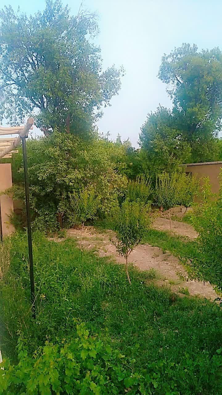 اجاره دهبالا طرزجان منشاد سانیج مهریز زارچ تفت|اجارهٔ کوتاه‌مدت ویلا و باغ|یزد, |دیوار