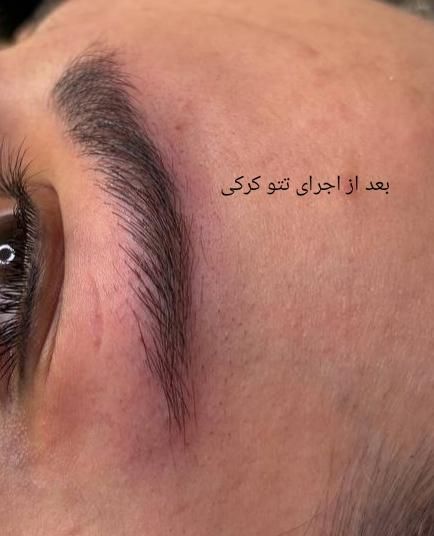 تتو کرکی (کاشت رنگ بصورت مویی و کاملا طبیعی)|خدمات آرایشگری و زیبایی|کرج, حیدرآباد|دیوار