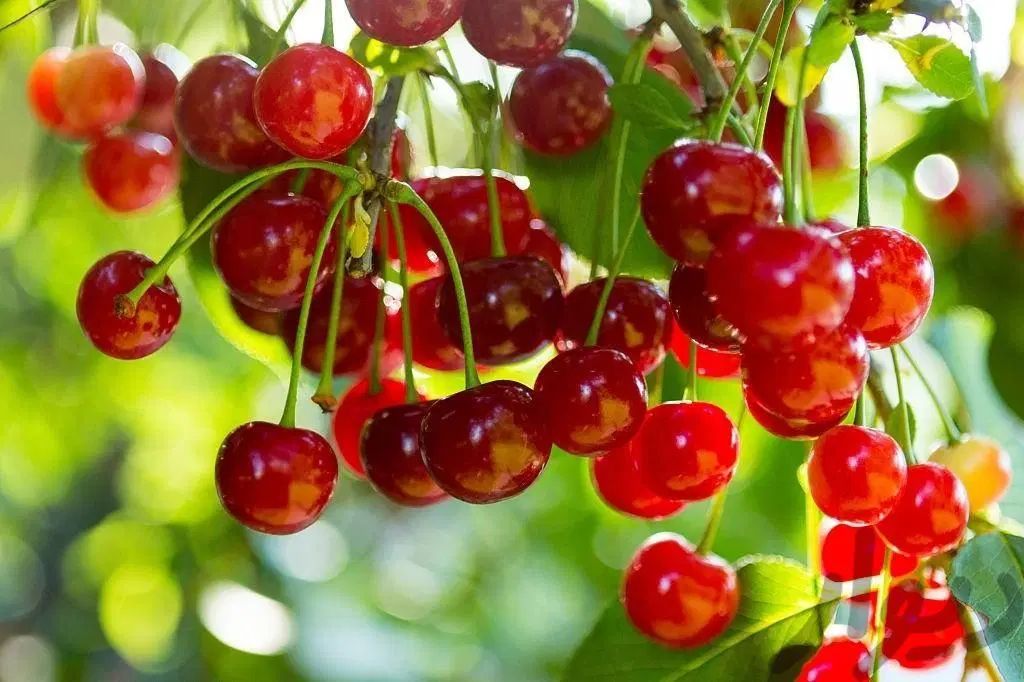 پیاده روی وکوهنوردی وورزش 5شنبه هاوجمعه ها|کوهنوردی و کمپینگ|اراک, |دیوار