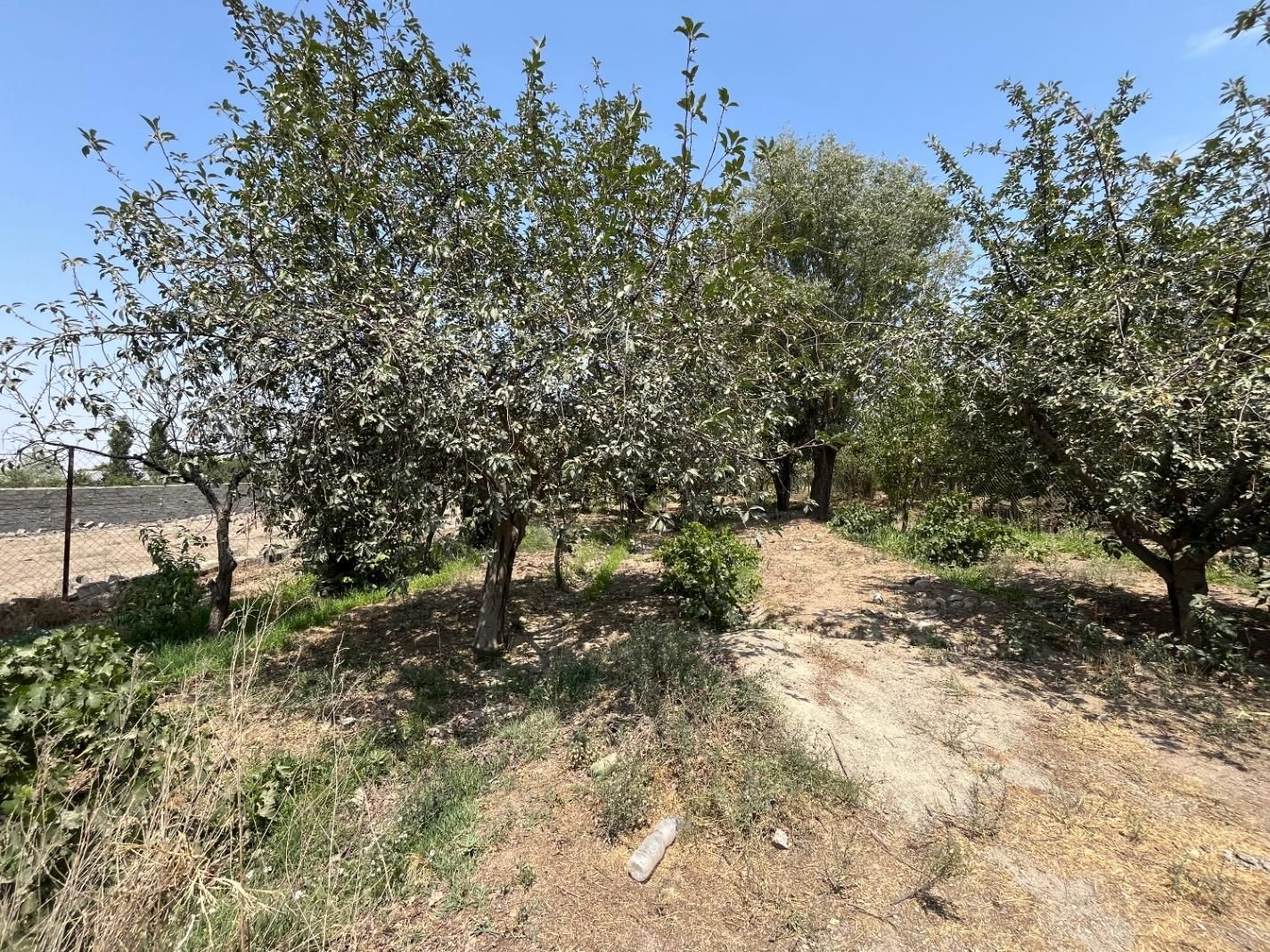 باغچه/تهاتر/انبارتپه /چسب بافت/دورفنس|فروش زمین و ملک کلنگی|تنکمان, |دیوار