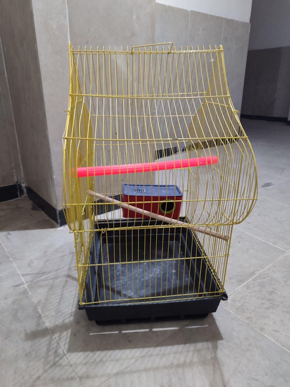 قفس|لوازم جانبی حیوانات|اردبیل, |دیوار
