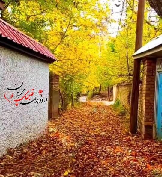 کافی نت پاییز|خدمات رایانهای و موبایل|هشتگرد, |دیوار