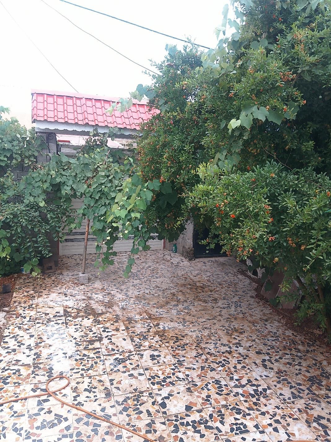 محیط امن و با آرامش|اجارهٔ کوتاهمدت آپارتمان و سوئیت|رشت, فخب|دیوار