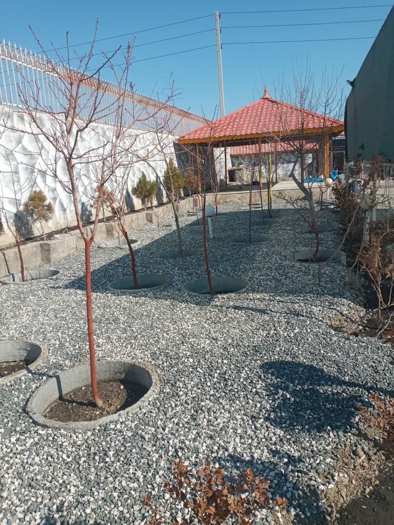 باغبانی سمپاشی تمام نقاط تهران‌وحومه|خدمات باغبانی و درختکاری|تهران, تهران‌نو|دیوار