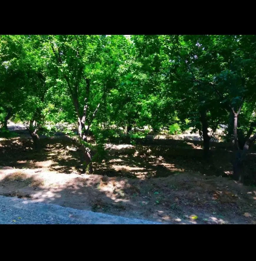 باغ و باغچه در عباس آباد شهریار/بافت شهری|فروش زمین و ملک کلنگی|شهریار, شهرک عباس پور|دیوار