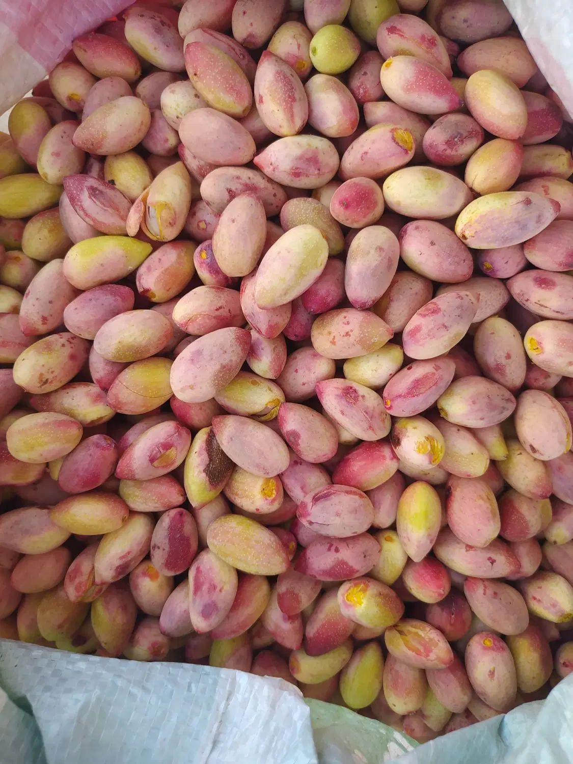 پسته مه ولات درجه یک|خوردنی و آشامیدنی|مشهد, ایثار|دیوار