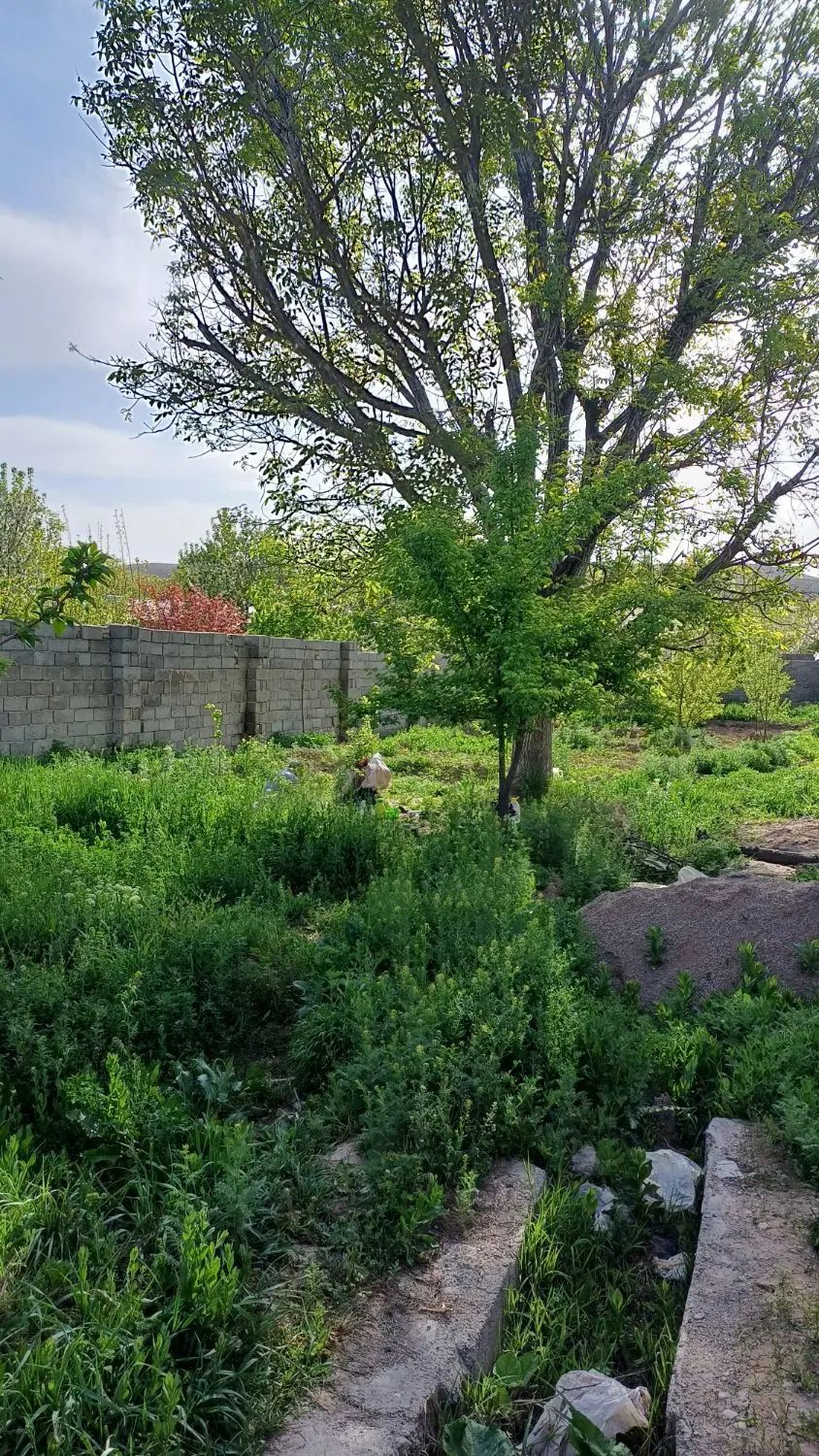 باغ ویلا جاده کلات روستای رضوان اندرخ|فروش زمین و ملک کلنگی|مشهد, تبادکان|دیوار