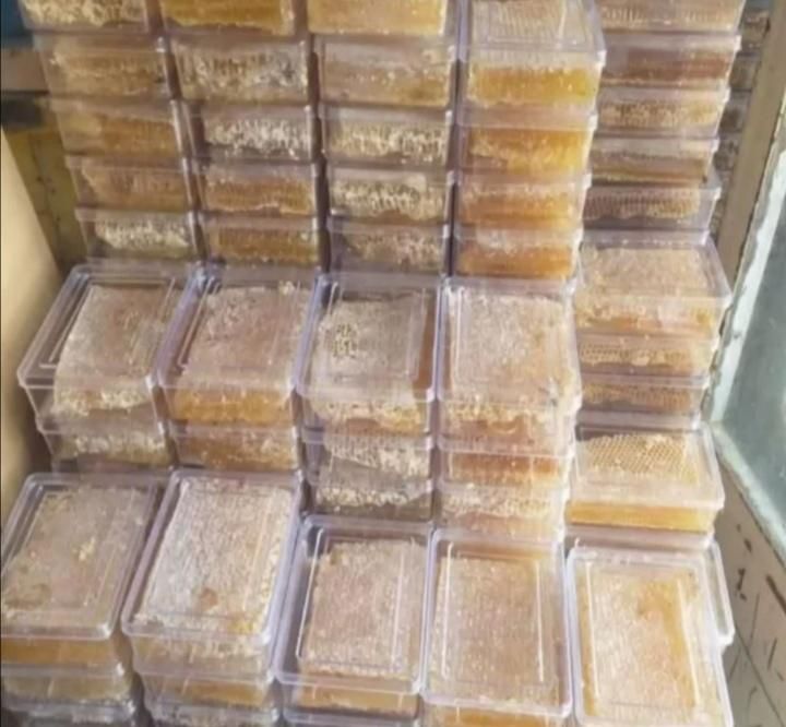 عسل زنبوردار|خوردنی و آشامیدنی|نوشهر, |دیوار