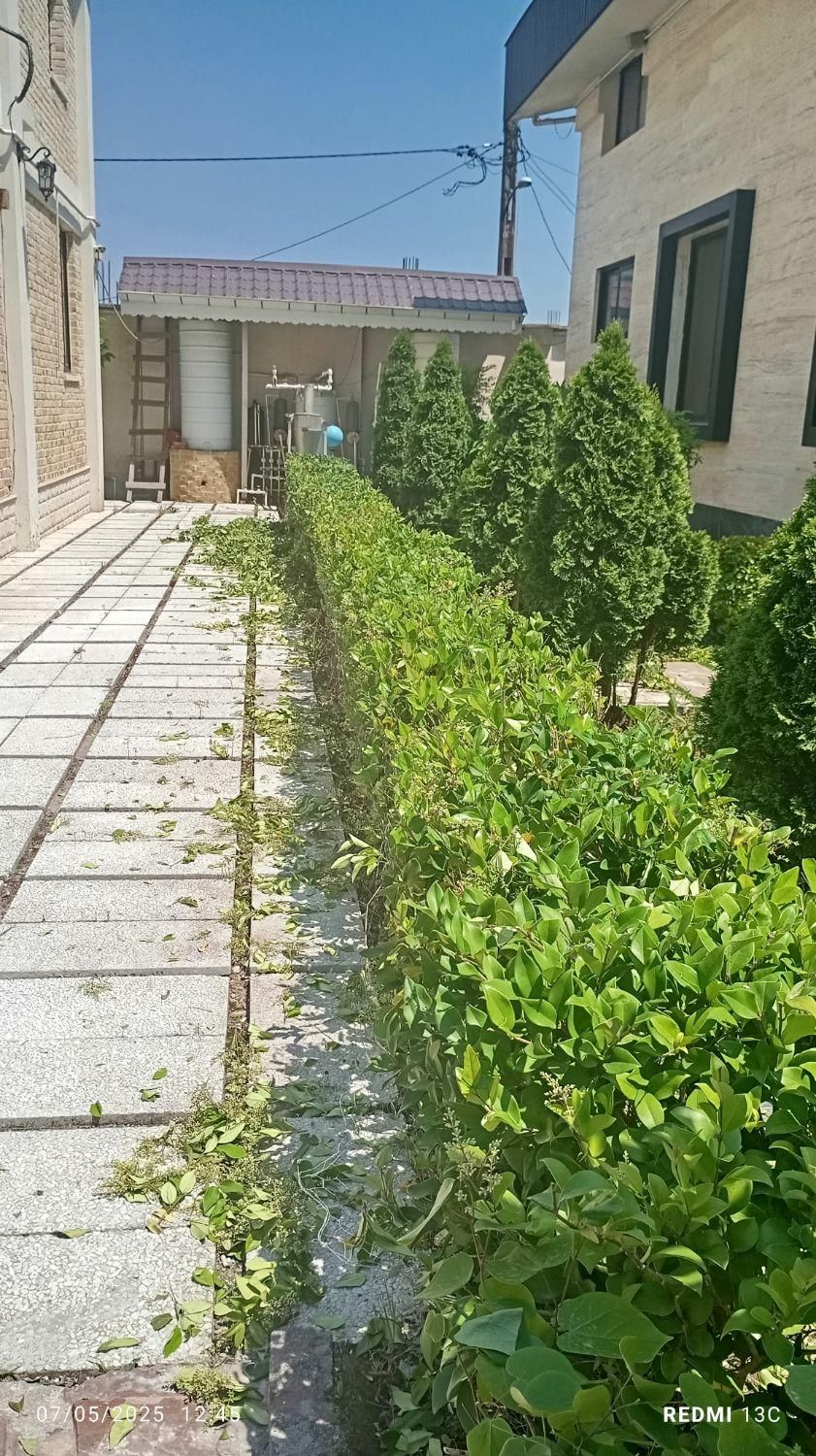 باغبانی|خدمات باغبانی و درختکاری|کرمانشاه, |دیوار