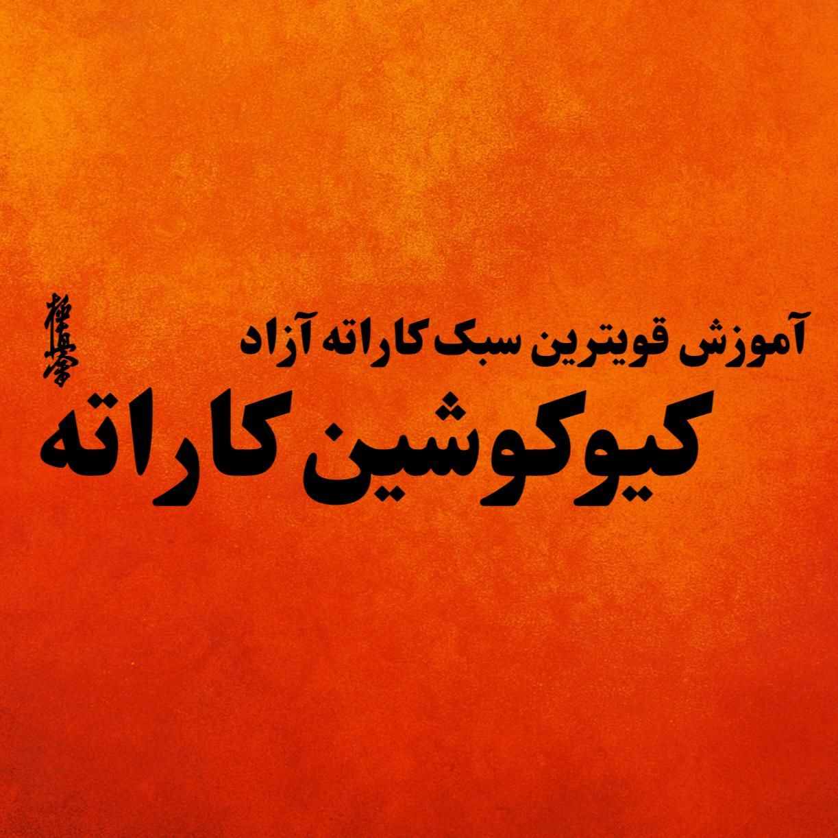 آموزش تخصصی کیوکوشین کاراته|خدمات آموزشی|شیراز, سعدیه جنوبی|دیوار