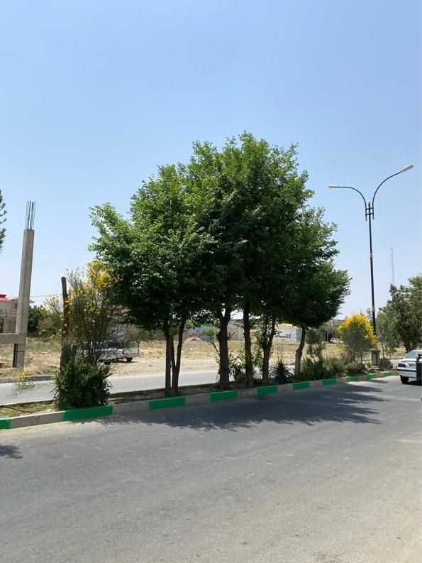 زمین ۱۰۰۰متری سند تک برگ داخل شهرک زعفرانیه سهیلیه|فروش زمین و ملک کلنگی|هشتگرد, شهرک سهیلیه|دیوار