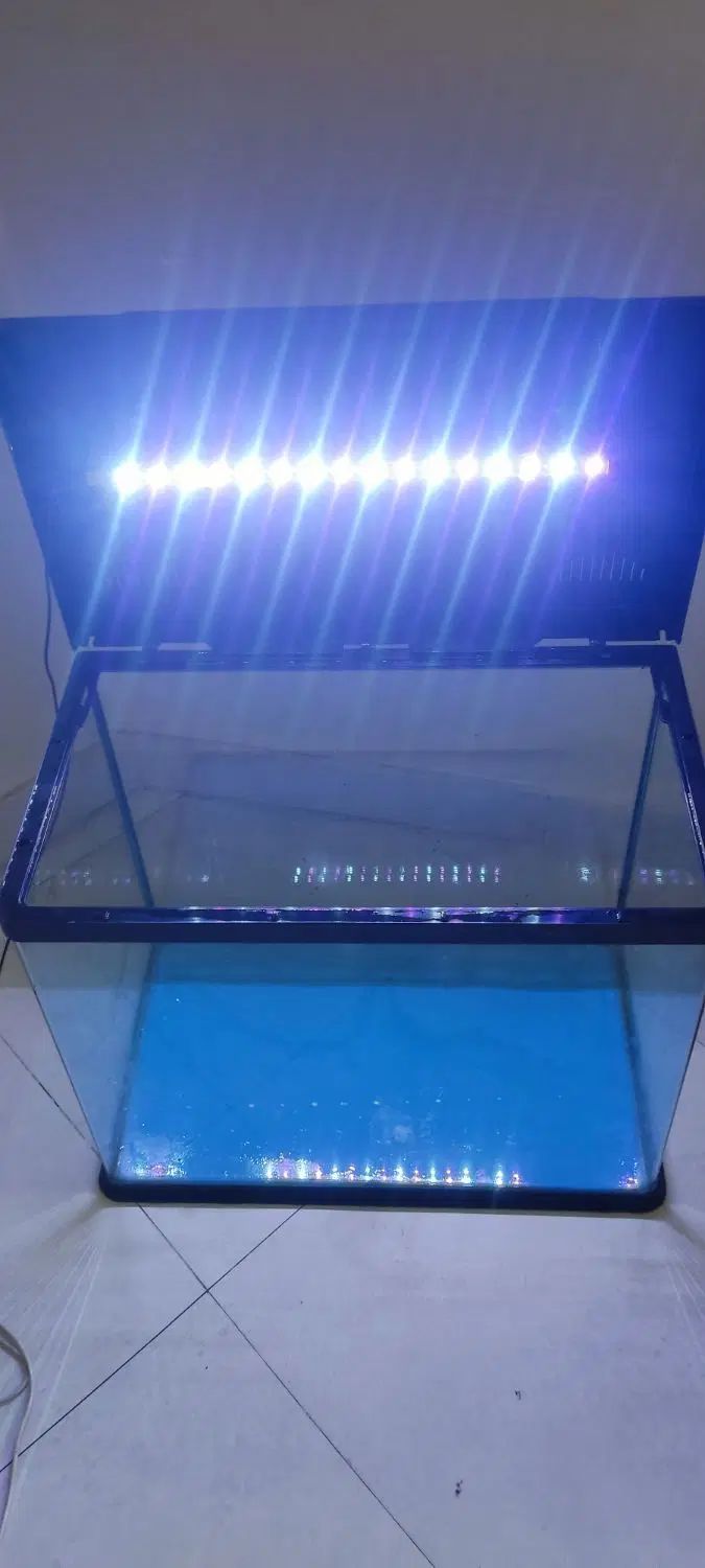 اکواریوم   آکوا Aqua شیشه خم  ۴۵×۶۰×۳۵|ماهی|تهران, یوسف‌آباد|دیوار