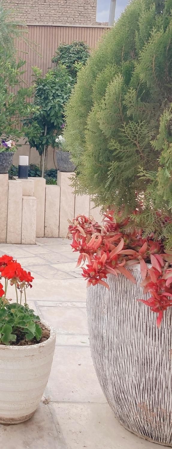 آپارتمان مسکونی منحصر به فرد رباط اول|فروش آپارتمان|اصفهان, دستگرده|دیوار