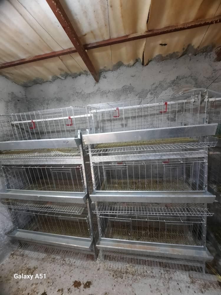 قفس مرغی. جنس آلمنیوم.|لوازم جانبی حیوانات|چمستان, |دیوار