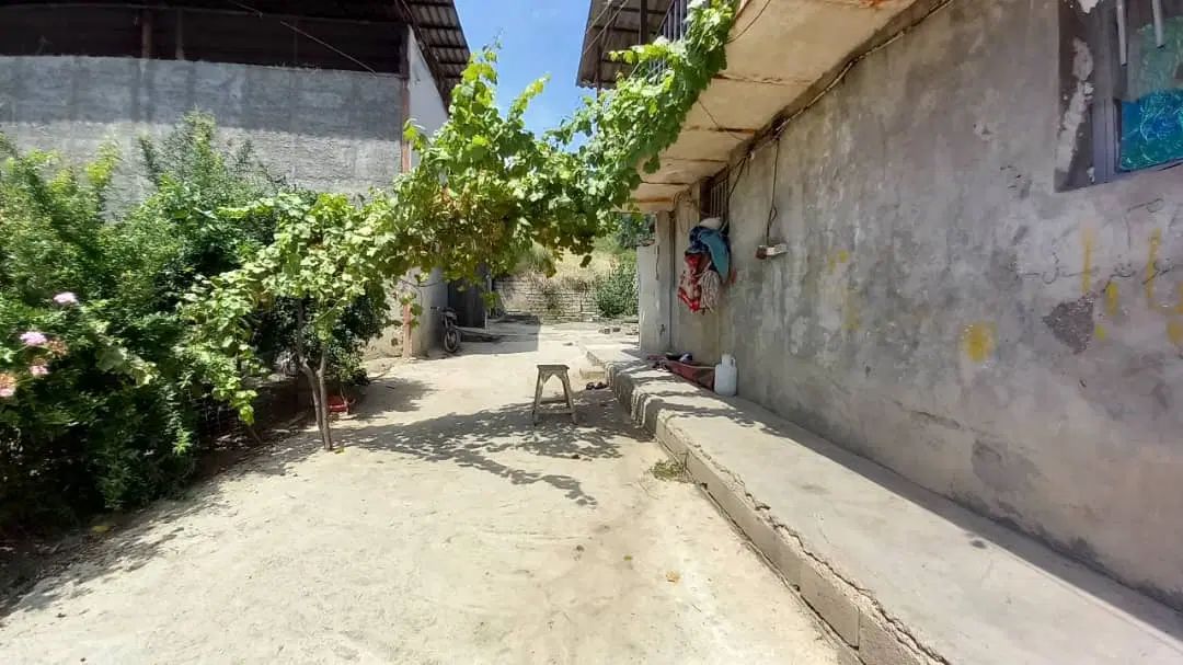 مرغداری ۳۰۰۰۰قبل از کردکوی ۹۰۰۰مترزمین|فروش دفتر صنعتی، کشاورزی، تجاری|گرگان, |دیوار