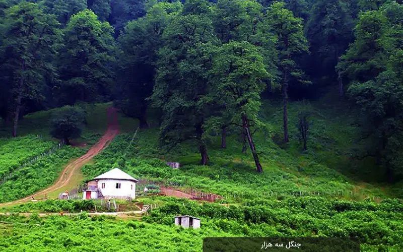تور شمال(تنکابن ) نگین زیبای غرب مازندران|تور و چارتر|ملایر, |دیوار