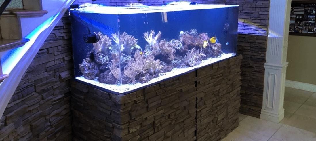 نصب و خدمات آکواریم|ماهی|تهران, امیرآباد|دیوار