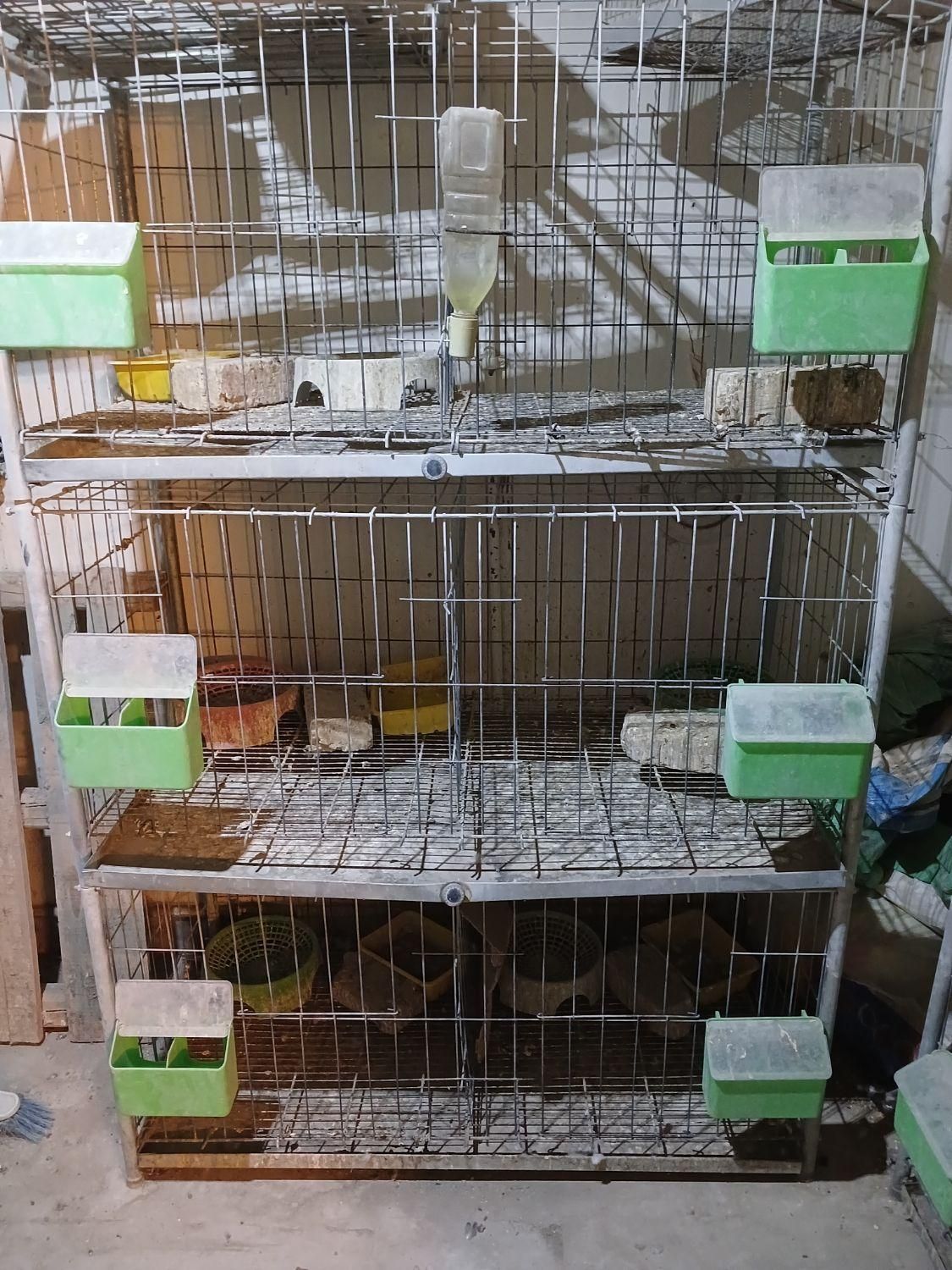 قفص قفس برای کبوتر خرقه دمگیر مرغ خروس|لوازم جانبی حیوانات|اصفهان, رزمندگان|دیوار