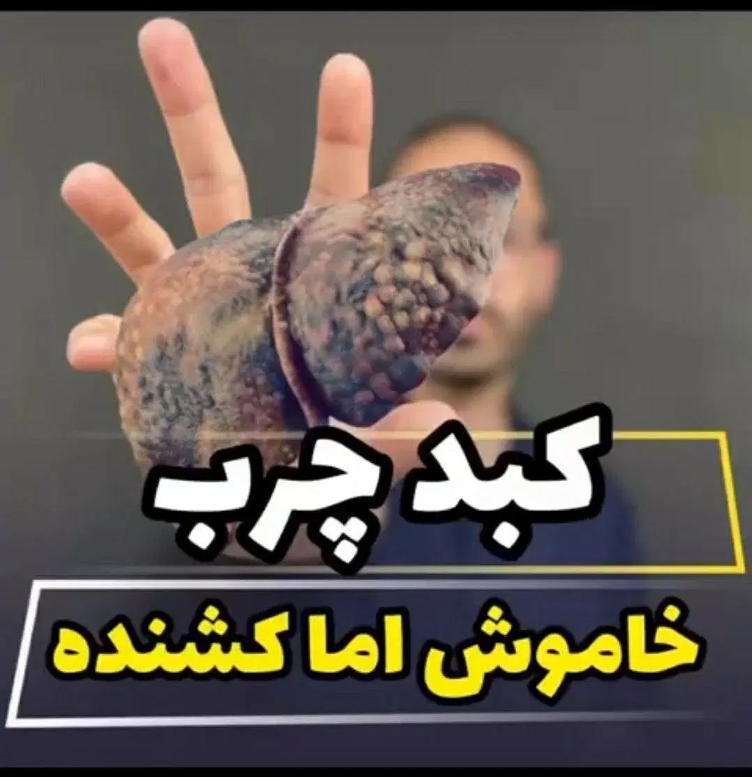 میخوای بدونی داخل بدنت چه مشکلی داره|خوردنی و آشامیدنی|مشهد, ارشاد|دیوار