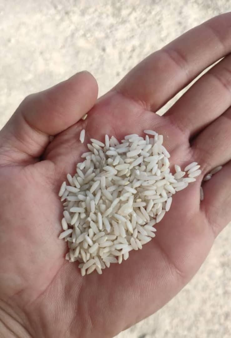 برنج عنبربو شوشتر|خوردنی و آشامیدنی|تهران, شهرک دانشگاه شریف|دیوار