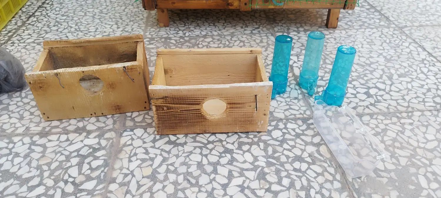 قفس پرنده|لوازم جانبی حیوانات|بم, |دیوار