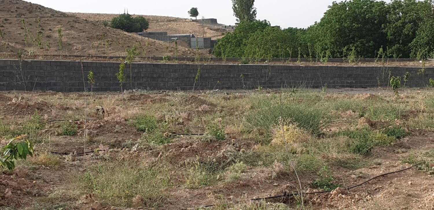 ۱۰۰۰متر باغ کرمجگان نوساز دو کله به خیابان و آب|فروش زمین و ملک کلنگی|قم, پردیسان|دیوار