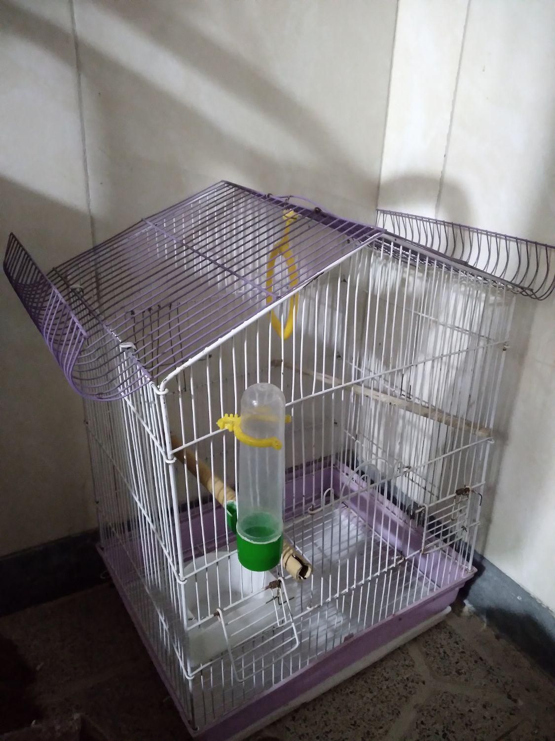قفس پرنده سالم|لوازم جانبی حیوانات|محمدشهر, کوی بهار|دیوار
