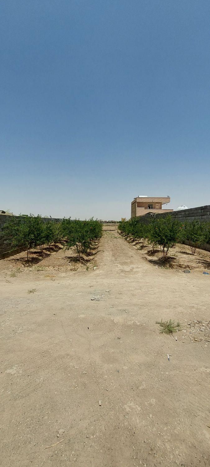 فروش زمین باغی ۴۶۰ متر میدان کشاورز قهجاورستان|فروش زمین و ملک کلنگی|اصفهان, قهجاورستان|دیوار