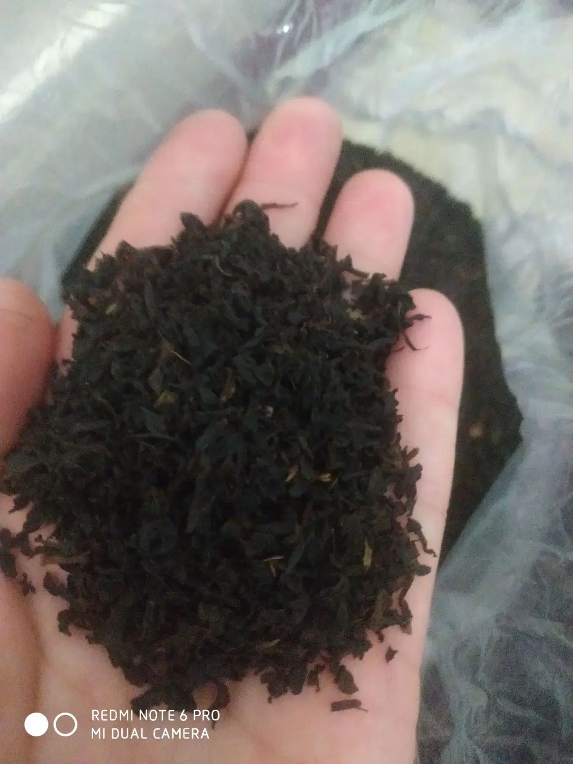 چای بهاره املش خوش عطرچین اول فقط 5 کیلوق 370|خوردنی و آشامیدنی|رشت, حمیدیان|دیوار