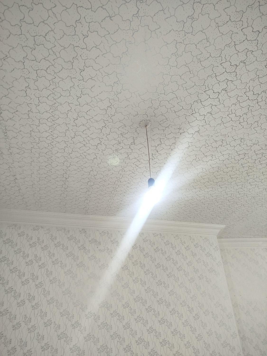 زیباسازی منزل|خدمات پیشه و مهارت|چالدران, |دیوار