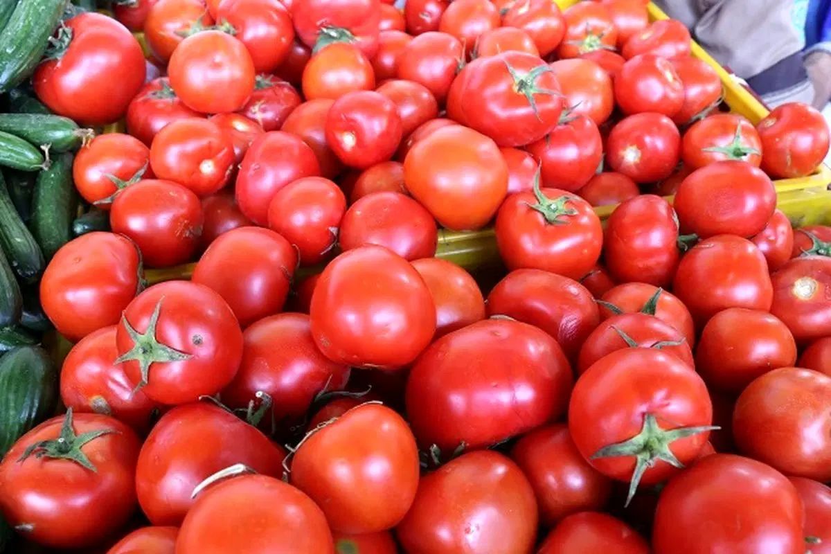 رب گوجه خانگی|خوردنی و آشامیدنی|تهران, تجریش|دیوار