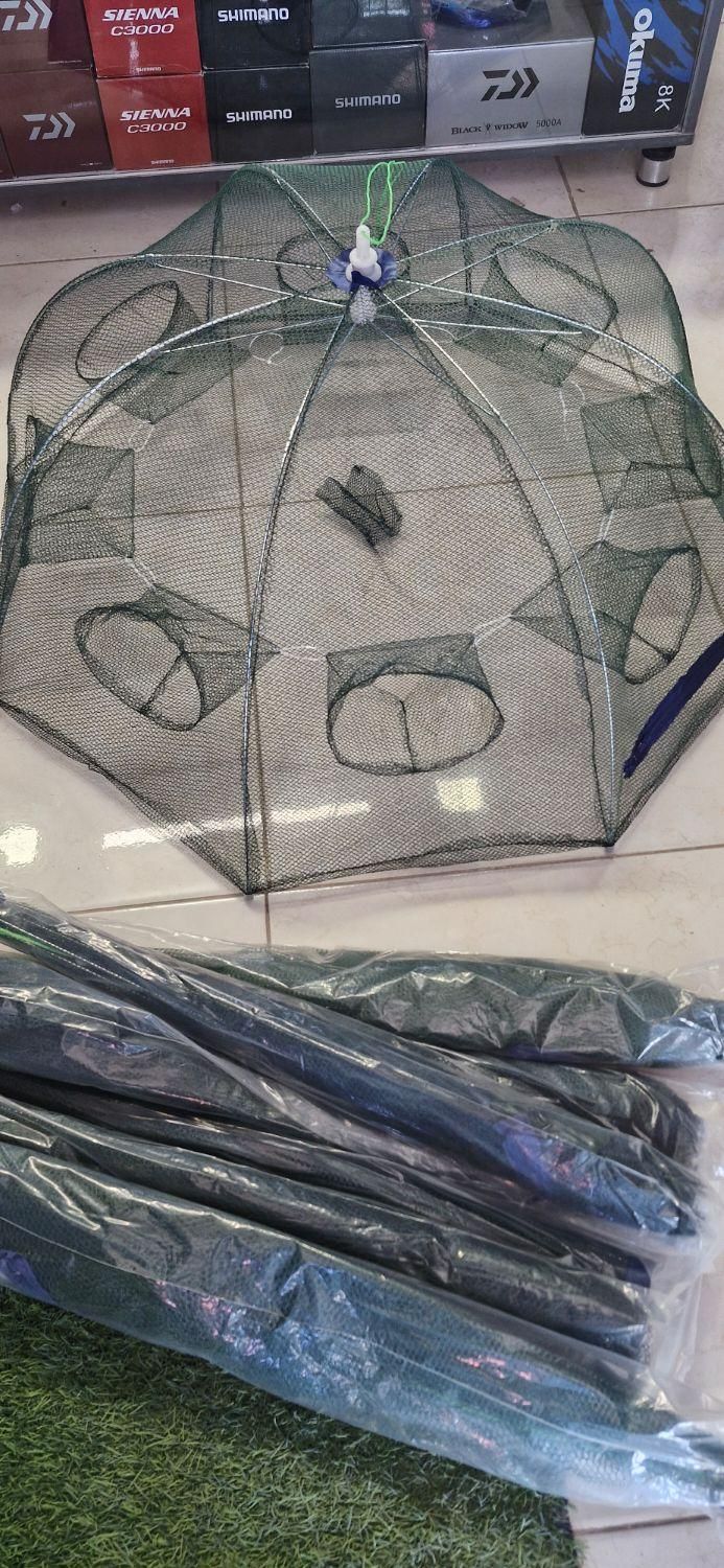 گرگور تور بچه ماهی|ماهیگیری|اصفهان, باغ فدک|دیوار