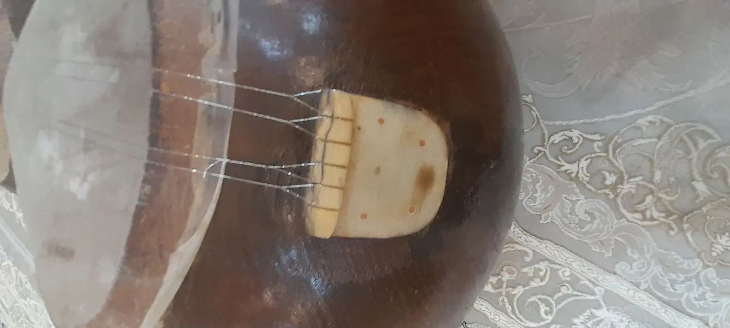 تار هامبارسون ۱۲۰ ساله|سازهای سنتی|اصفهان, شهرک سلامت|دیوار