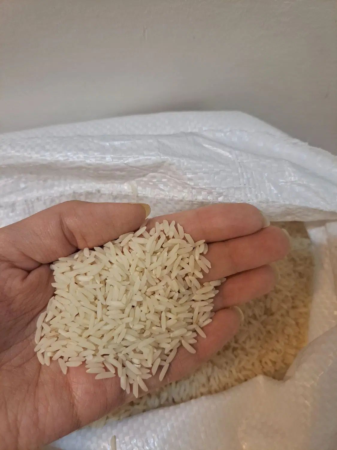 فروش برنج شمال مستقیم از کشاورز  کیفیت درجه یک|خوردنی و آشامیدنی|اصفهان, بهارستان|دیوار