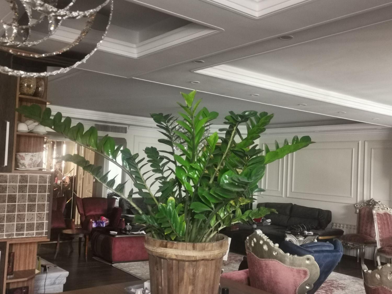 پرستار کودک و امور منزل|استخدام درمانی، زیبایی، بهداشتی|تهران, گیشا|دیوار