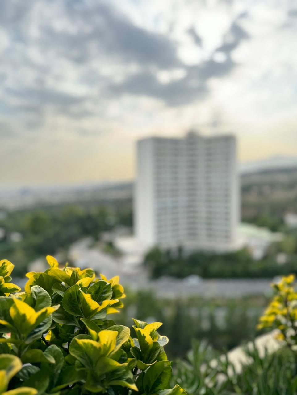 شهرک امید پنت‌هاوس /۱۵۶متر۳خواب/ فروشنده واقعی|فروش آپارتمان|تهران, شهرک امید|دیوار