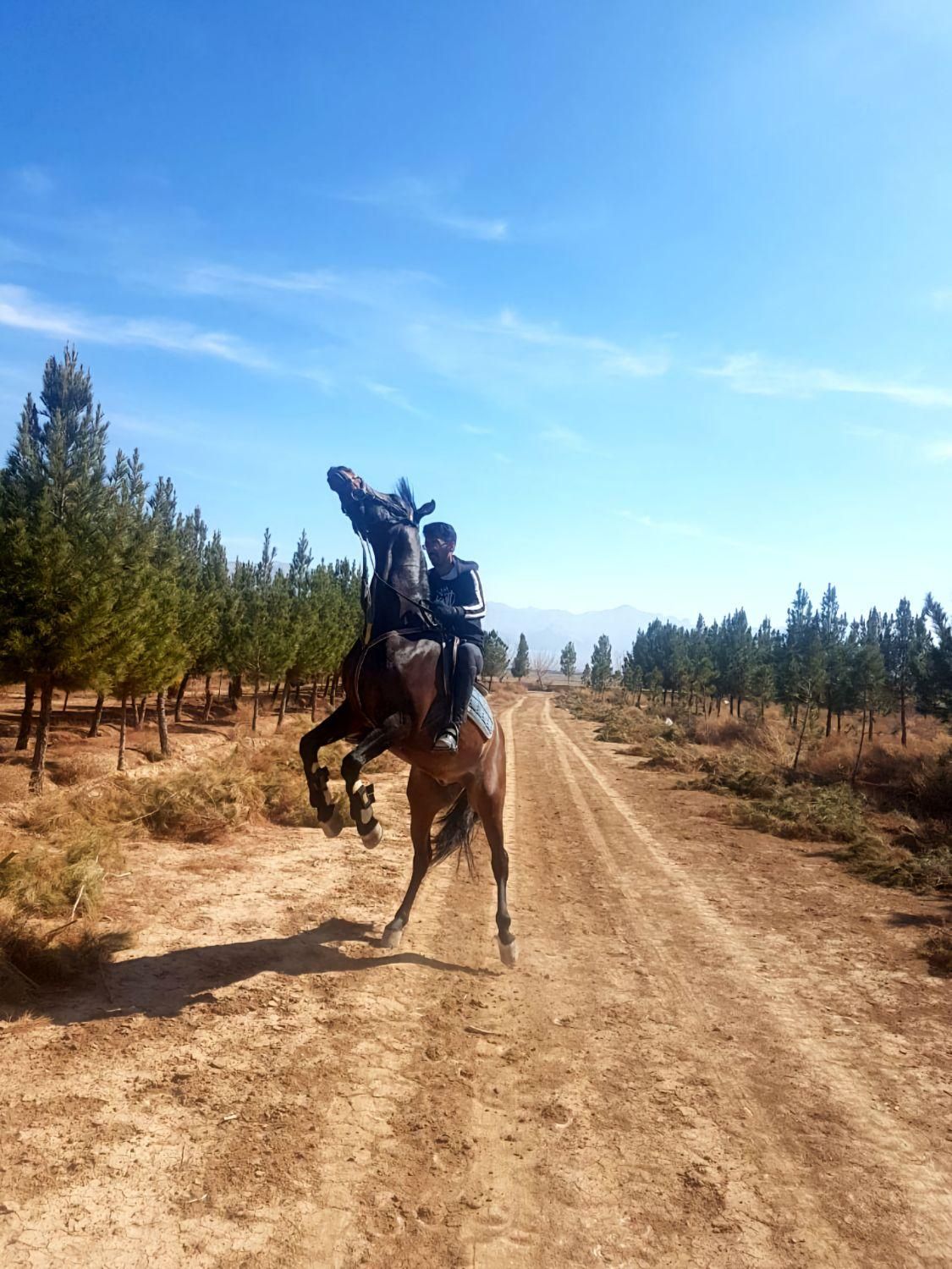 فروش ۲۵۵۰ متری در شهرضا|فروش دفتر صنعتی، کشاورزی، تجاری|شهرضا, |دیوار