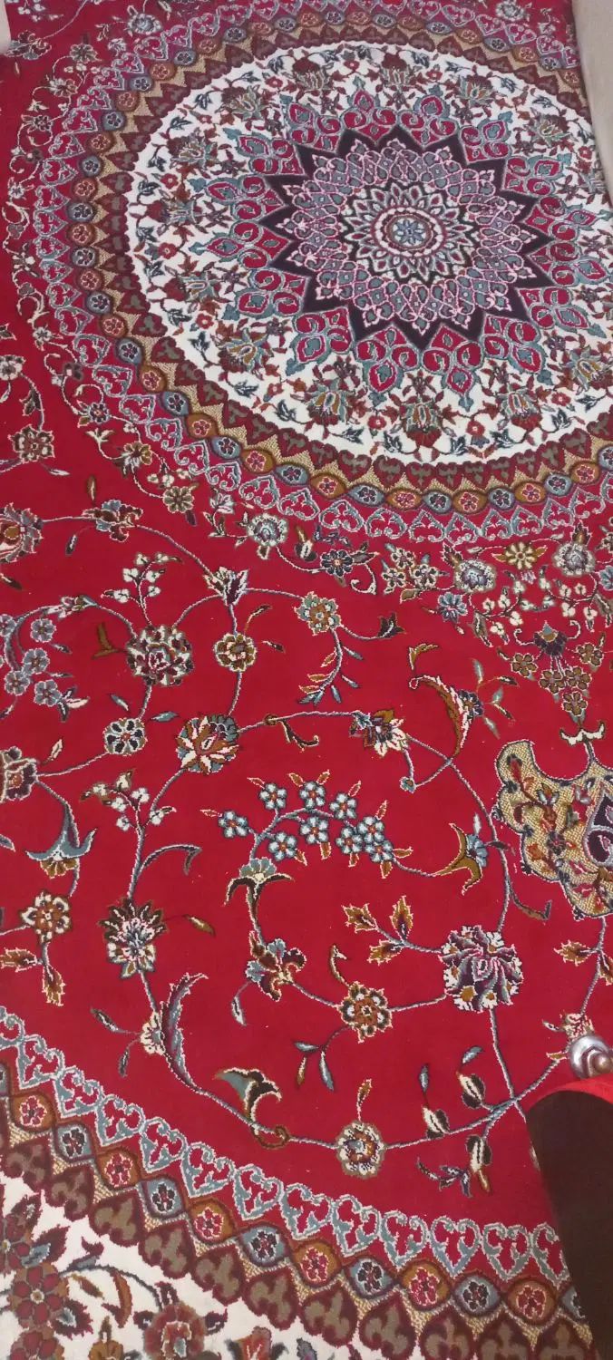 فرش 12 متری 500 شانه کاملا سالم ( بازدید لاهیجان)|فرش|رشت, گلسار|دیوار
