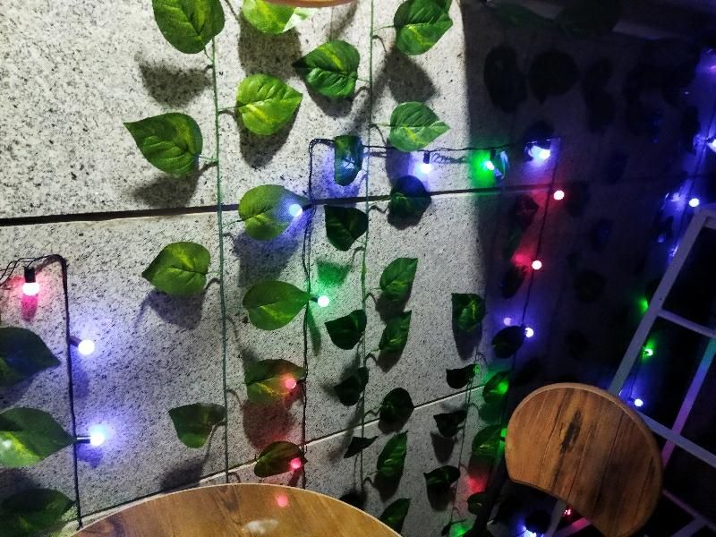 ریسه ال ای دی . چند رنگ . 5 متر|ریسه و چراغ تزئینی|ورامین, |دیوار