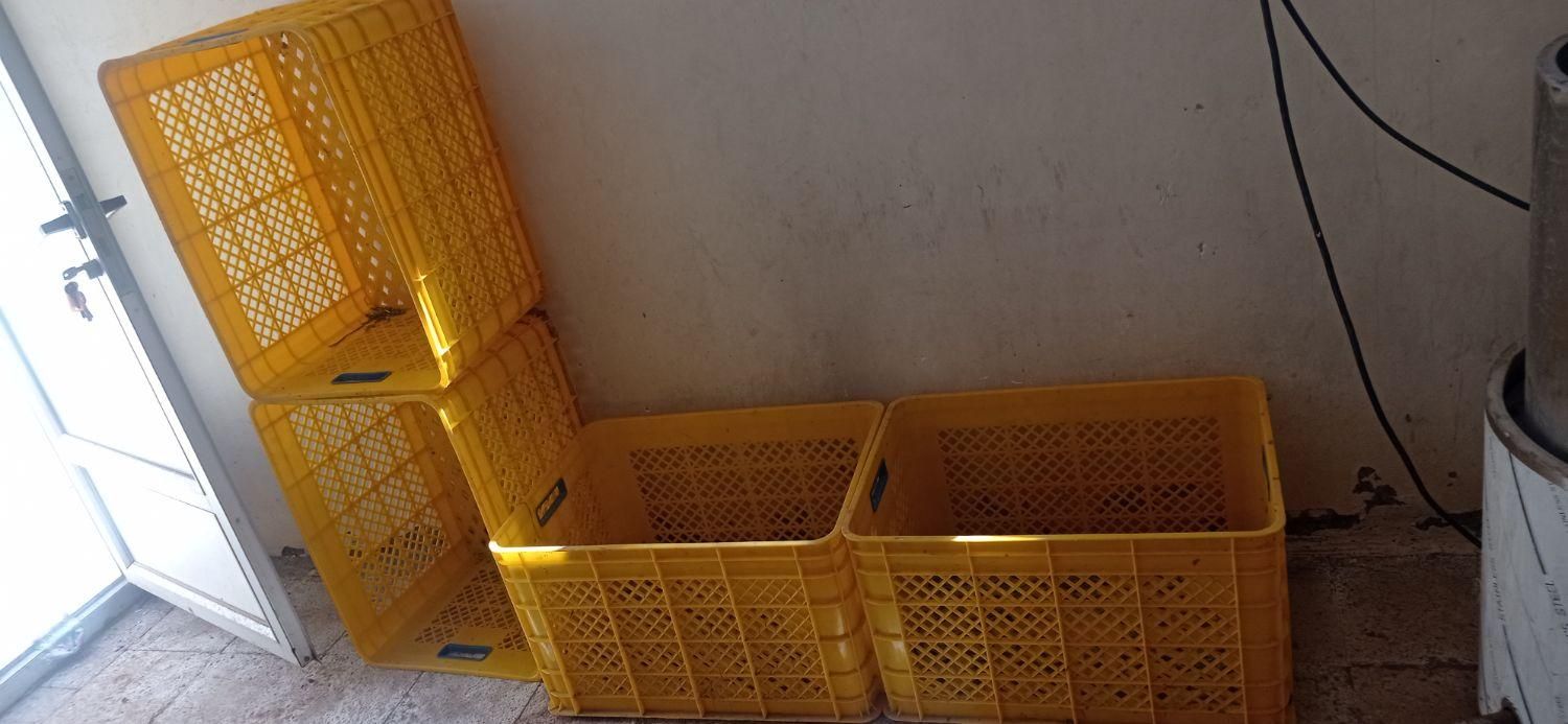 وسایل سبزی شوری|فروشگاه و مغازه|اصفهان, سروشبادران|دیوار