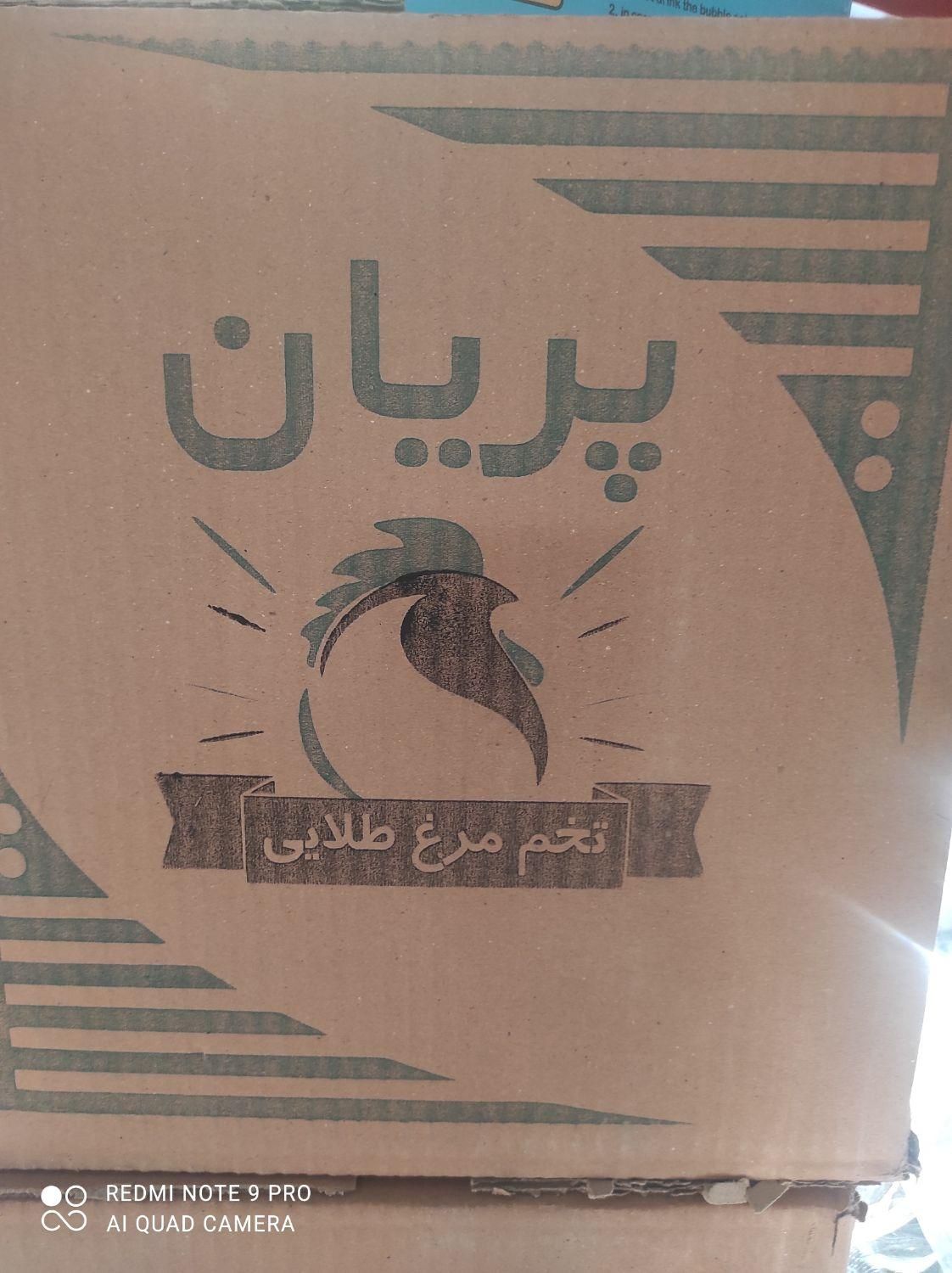تخم مرغ|خوردنی و آشامیدنی|کرج, مشکین‌دشت|دیوار