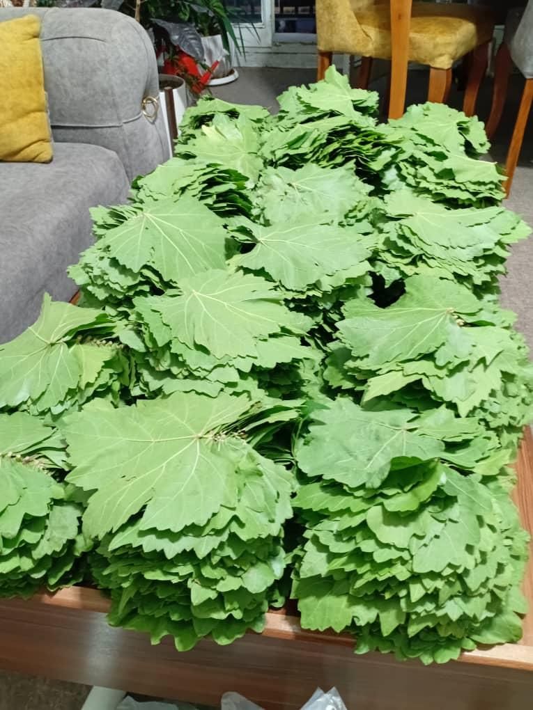 دلمه برگ مو با گوشت گرم گوسفندی با بالاترین کیفیت|خوردنی و آشامیدنی|شیراز, معالی‌آباد|دیوار