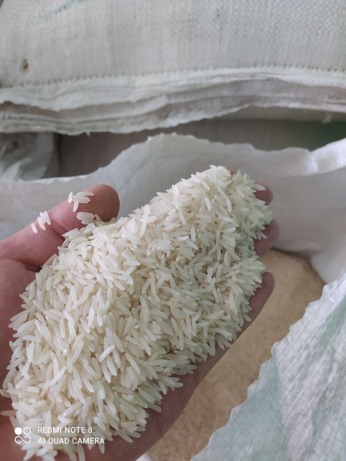 طارم محلی اعلا|خوردنی و آشامیدنی|اصفهان, براآن شمالی|دیوار