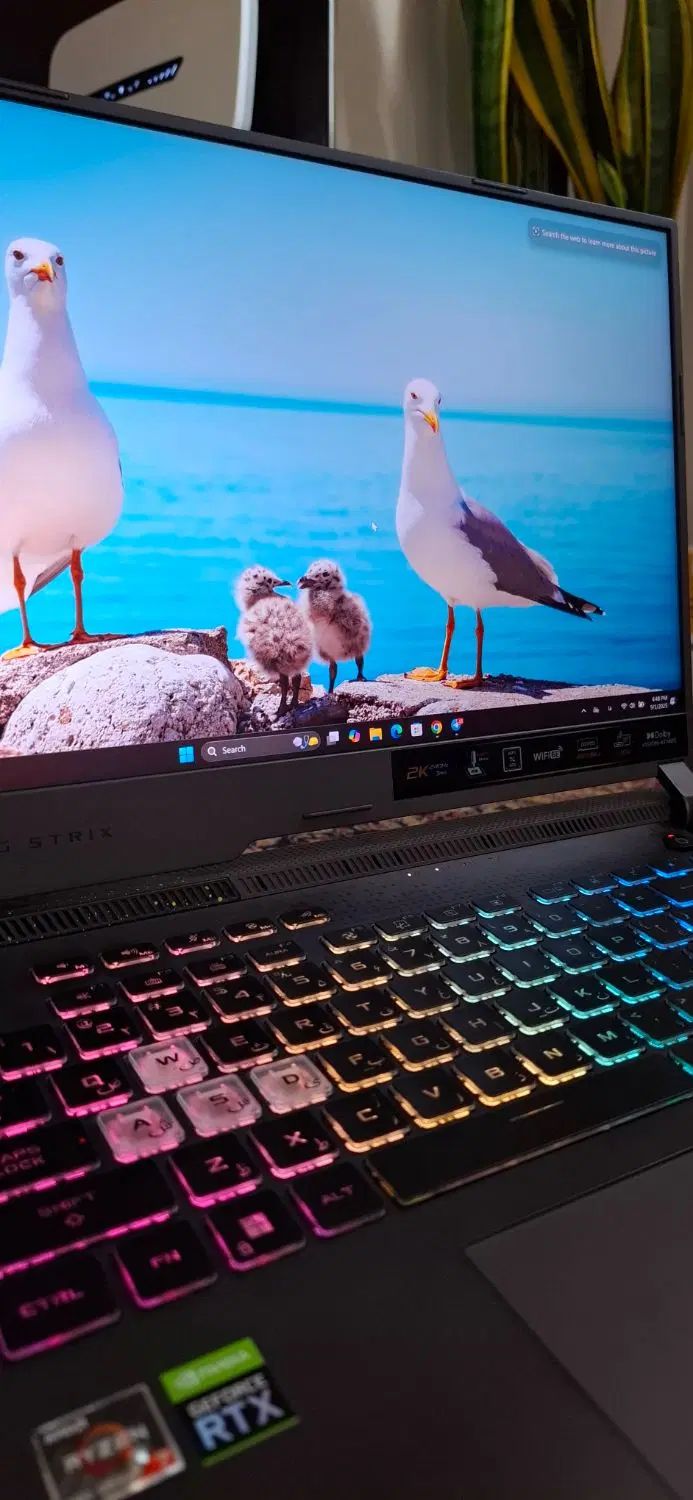 لپ تاپ ایسوس راگ ROG Strix RTX 3060 240Hz 2K|رایانه همراه|تهران, فردوسی|دیوار