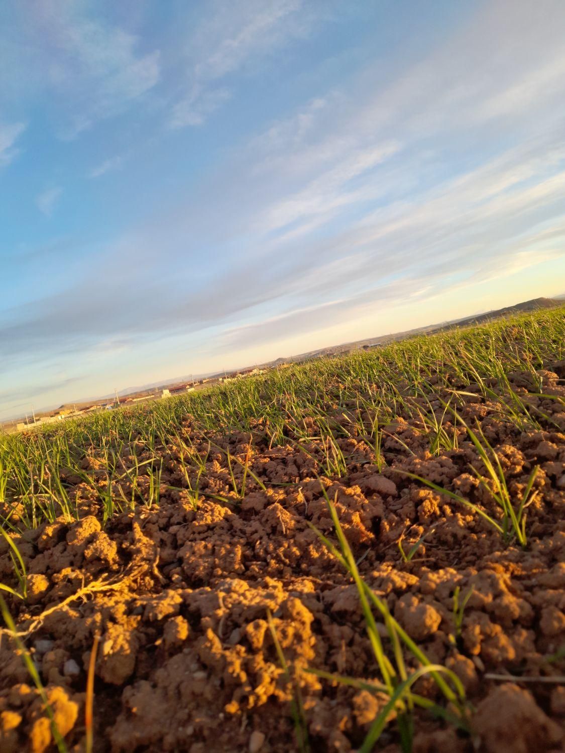 زمین ویلایی تمام اقساط ماهی پنچ میلیون بیلوردی|فروش زمین و ملک کلنگی|تبریز, |دیوار