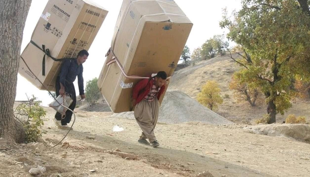 اجاره  وفروش کارتن موزی|عمده‌فروشی|بوشهر, |دیوار