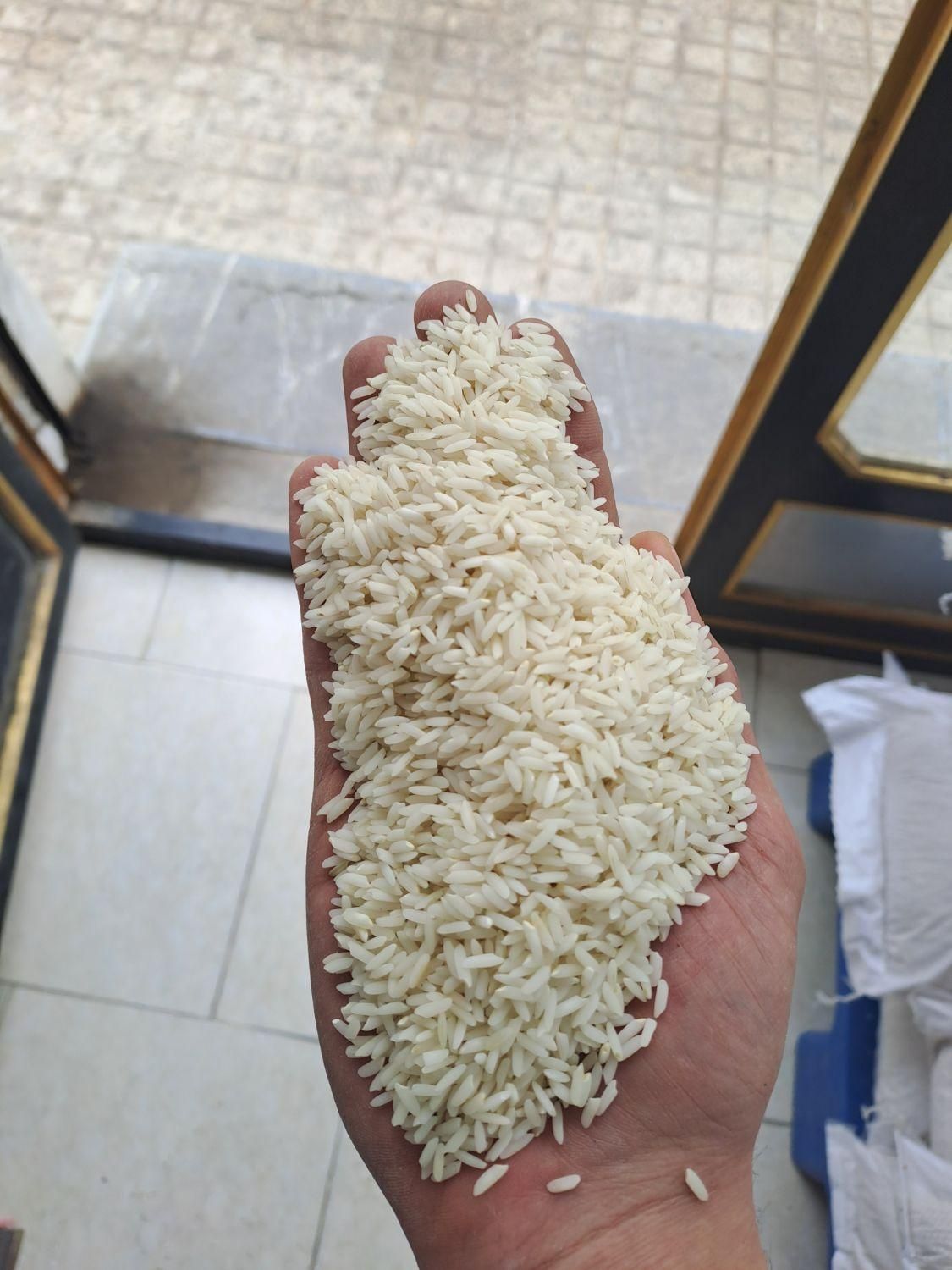 برنج صدری حصار مشمپا زنجان|خوردنی و آشامیدنی|زنجان, |دیوار