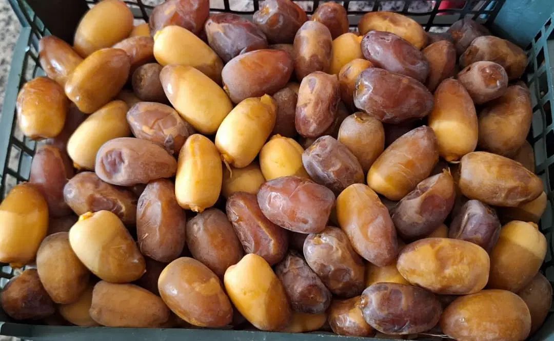 رطب کبکاب عسلی|خوردنی و آشامیدنی|کرج, بنیاد|دیوار