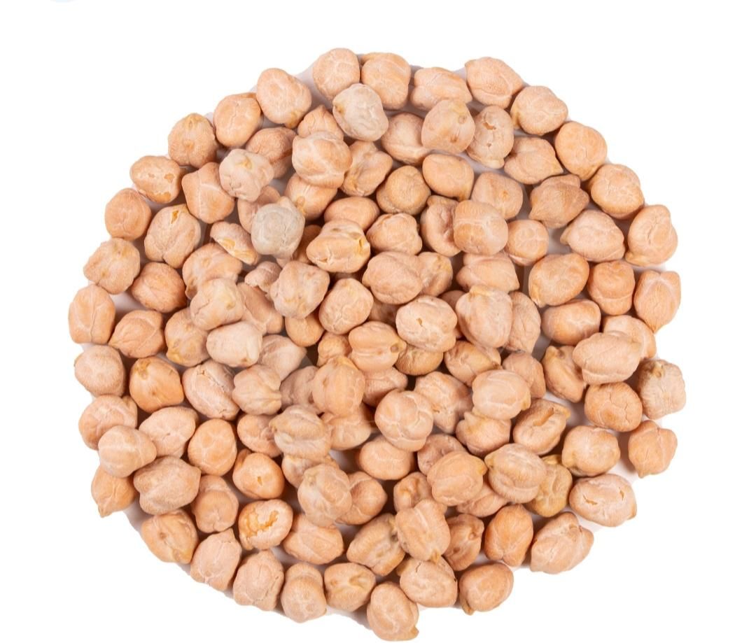 خرید انواع نخود و گندم.مهاباد، بوکان و حومه|خدمات باغبانی و درختکاری|مهاباد (آذربایجان غربی), |دیوار